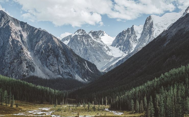 移民比利时需要多少钱